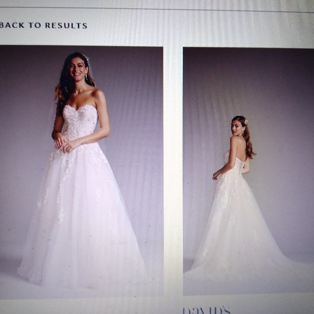 Wedding dress and veil